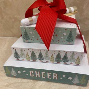 Festive Holiday Pads and Pen